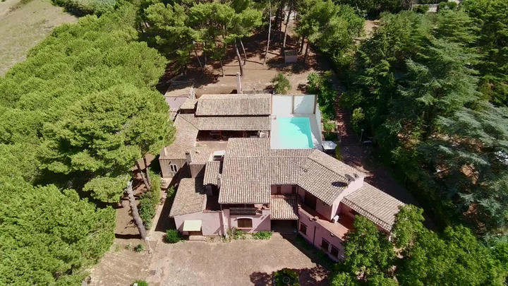 Veduta aerea della proprietà tra gli alberi